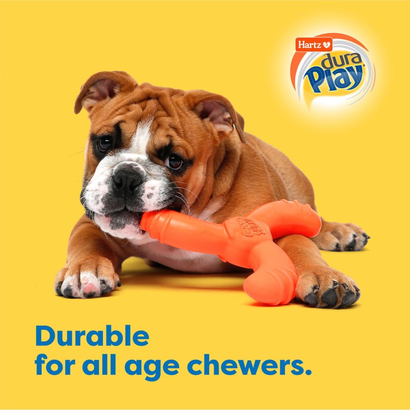 Hartz DuraPlay Bacon Scented Dog Toys, Medium/Large ( Colors may vary ) All Breed Sizes - Image 5