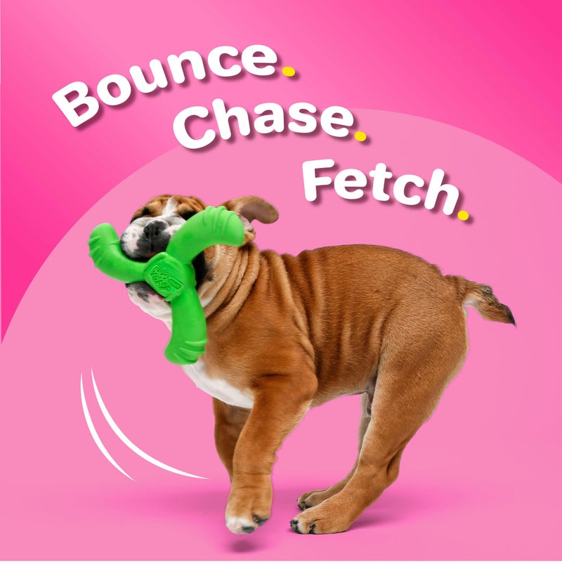 Hartz DuraPlay Bacon Scented Dog Toys, Medium/Large ( Colors may vary ) All Breed Sizes - Image 4