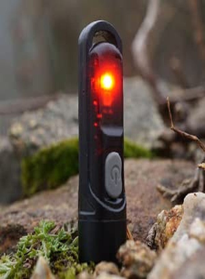 NITECORE Tiki LE 300 Lumen Rechargeable EDC Keychain Flashlight with NITECORE Tag - Image 3