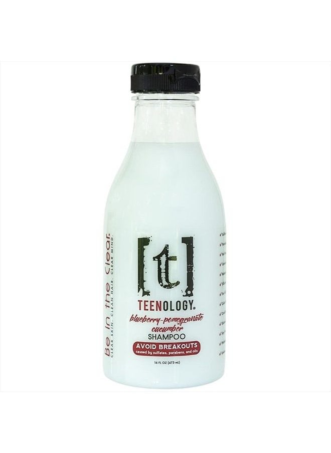 TEENOLOGY - Shampoo for Teens - Avoid Forehead and Body Breakouts - No Sulfates or Parabens, Noncomedogenic, Natural Botanical Extracts, 16 oz. (Blueberry Pomegranate Cucumber) - Image 1