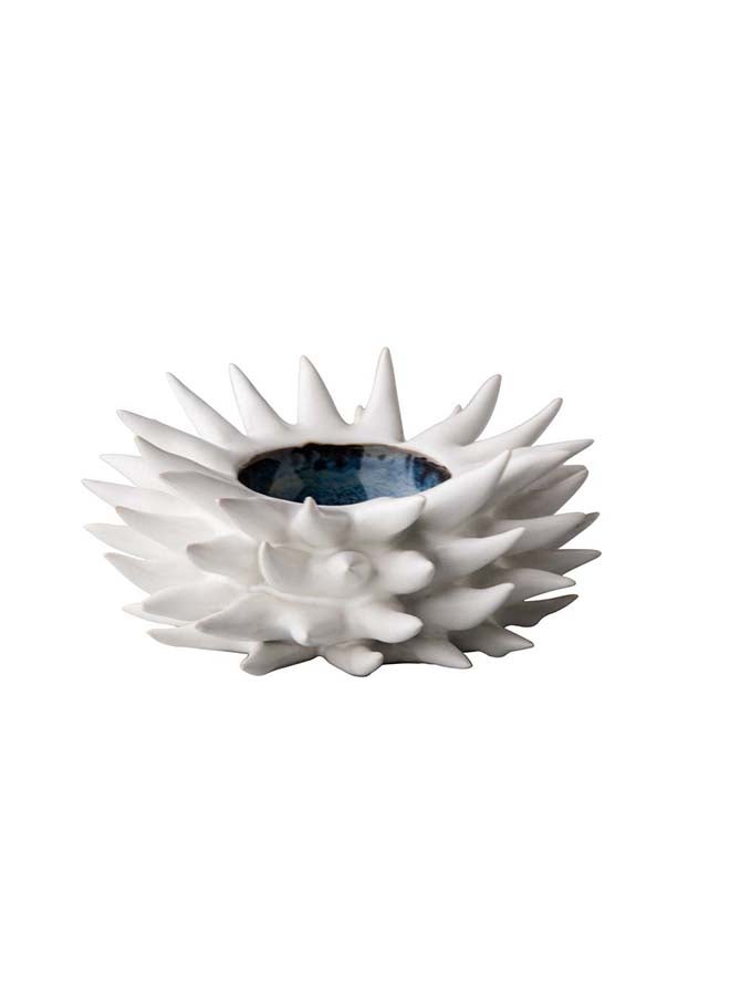 Sea Hedgehog 18cm