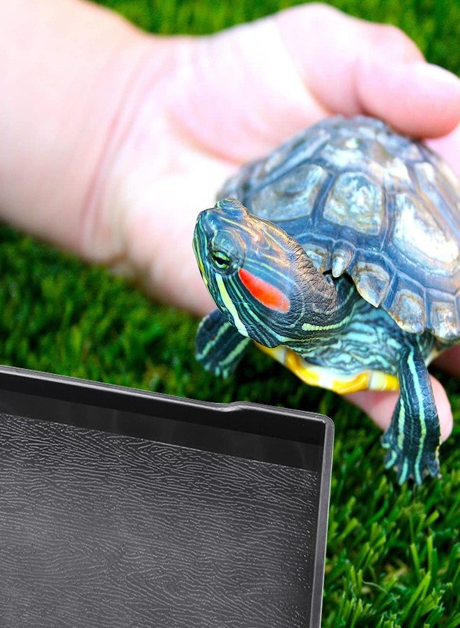 YOLUFER Reptile Food Water Bowl Plate Dish for Tortoise Crawl Pet Drinking and Eating Hallow Water Dish for Reptiles (Size2-M) - Image 5