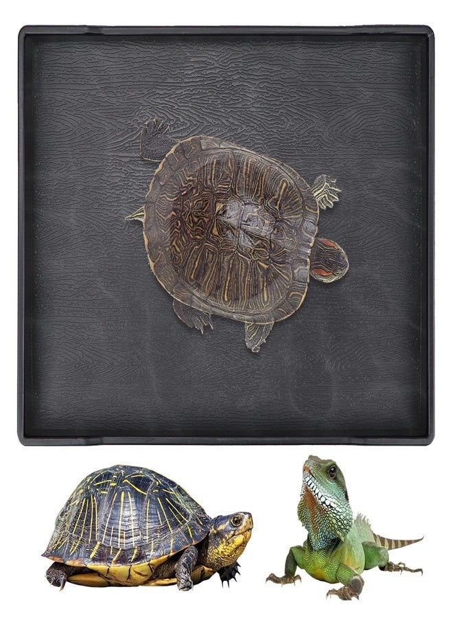 YOLUFER Reptile Food Water Bowl Plate Dish for Tortoise Crawl Pet Drinking and Eating Hallow Water Dish for Reptiles (Size2-M) - Image 2
