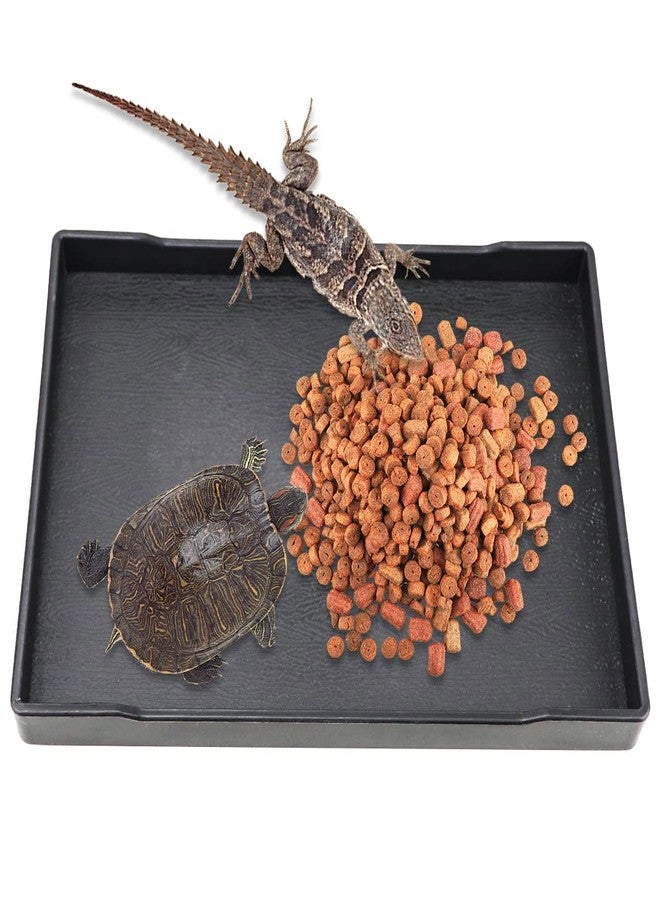 YOLUFER Reptile Food Water Bowl Plate Dish for Tortoise Crawl Pet Drinking and Eating Hallow Water Dish for Reptiles (Size2-M) - Image 4
