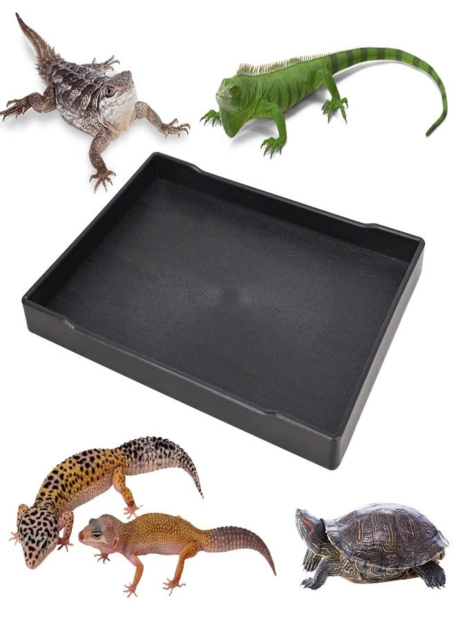 YOLUFER Reptile Food Water Bowl Plate Dish for Tortoise Crawl Pet Drinking and Eating Hallow Water Dish for Reptiles (Size2-M) - Image 1