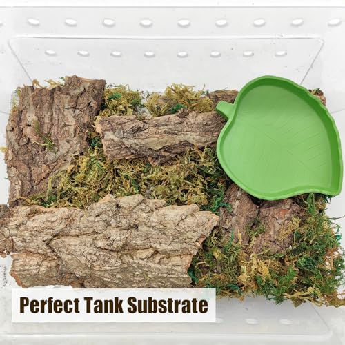 VCEPJH Reptile Bark Bedding,1 LB Natural Cork Bark for Reptiles Flat Cork Wood Terrarium Substrate Tank Supplies for Snake Spiders Bearded Dragons Hermit Crabs Geckos - Image 5