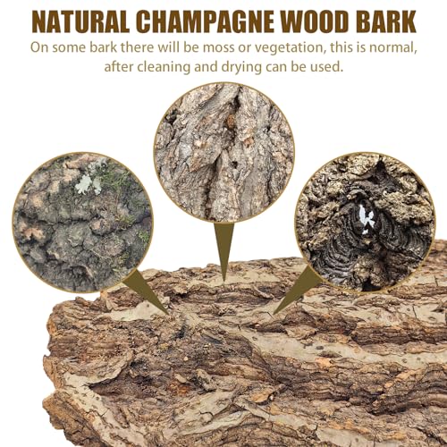 VCEPJH Reptile Bark Bedding,1 LB Natural Cork Bark for Reptiles Flat Cork Wood Terrarium Substrate Tank Supplies for Snake Spiders Bearded Dragons Hermit Crabs Geckos - Image 4