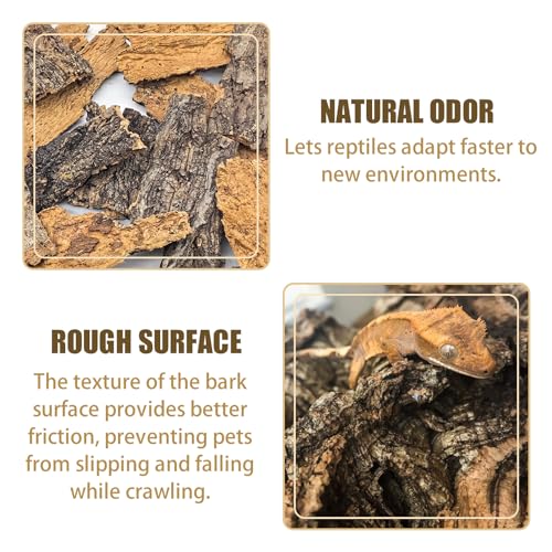 VCEPJH Reptile Bark Bedding,1 LB Natural Cork Bark for Reptiles Flat Cork Wood Terrarium Substrate Tank Supplies for Snake Spiders Bearded Dragons Hermit Crabs Geckos - Image 3