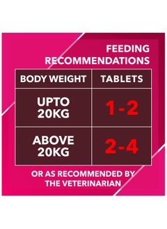 Absolute Supplement Skin And Coat Tablet For Dog 110 Pieces 400 - pzsku/Z408AFBAA14DF35EDBA7CZ/45/_/1724572890/97782a42-7620-431b-b068-f73f50d79a38