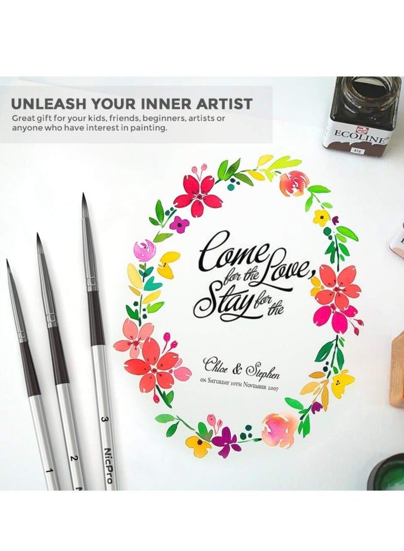 Artist Watercolor Paint Brushes, 10 PCS Round Pointed Tip Paint Brushes Set for Water Color, Acrylic Oil, Gouache, Ink, Detail, Tempera, By Number Model Art Paintbrush - Image 2