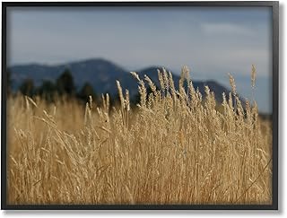 Stupell Industries Stupell Industries Wheat Field Landscape Black Framed Giclee Art Design by Sue Schlabach  - Image 1