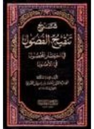 شرح تنقيح الفصول في اختصار المحصول - chareh tankih al fousoul fi ikhtisar al mahsoul - pzsku/Z408FF860D01C91C2DEACZ/45/_/1737494533/ba82e5fe-6fb4-4945-b900-5e24bd3b75b2