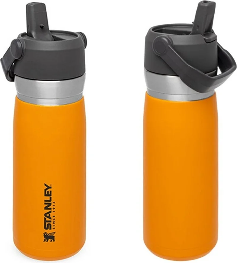 Stanley Go Iceflow Stainless Steel Cold Water Thermos with Straw 0.65 Lt - Orange