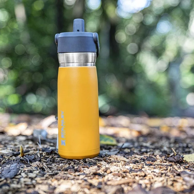 Stanley Go Iceflow Stainless Steel Cold Water Thermos with Straw 0.65 Lt - Orange