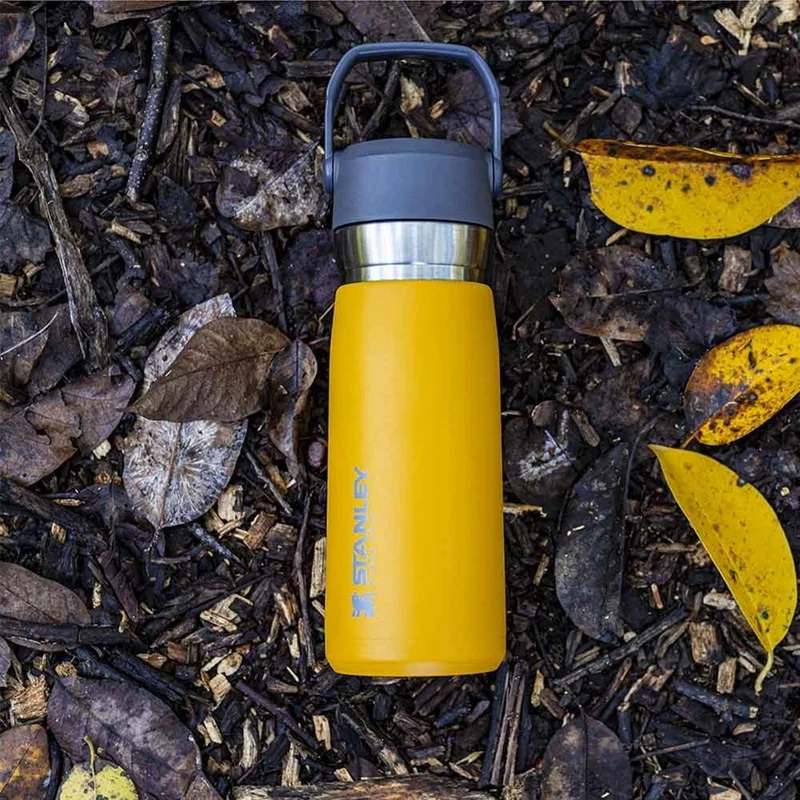 Stanley Go Iceflow Stainless Steel Cold Water Thermos with Straw 0.65 Lt - Orange