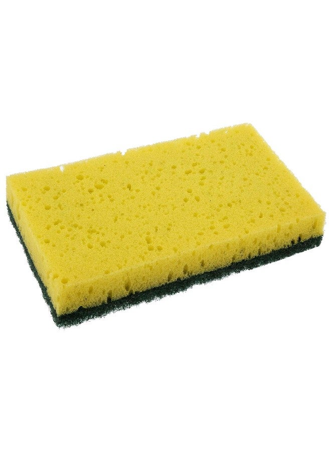 Royal Scouring Pad/Sponge Combo, Case of 48 - Image 1