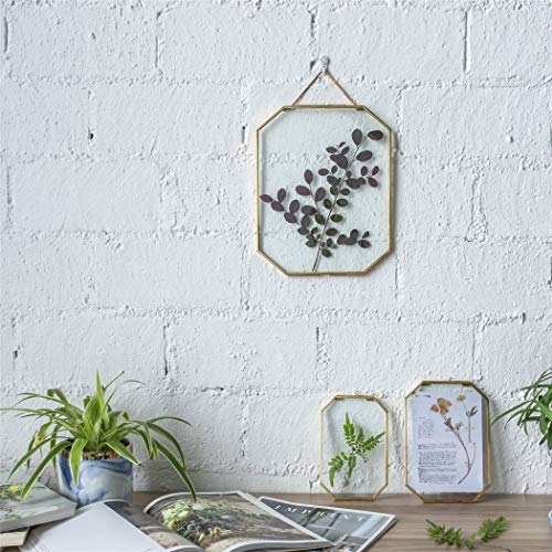 ARTINCO Art India Collections Home Decor Glass & Metal Hanging Octagon Picture Frame for Wall Decoration, with 2 Sides Glass - 4 x 6 inch (Golden) Decorative Hanging Photo Frame - Image 4
