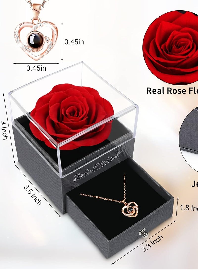 سيتا مجموعة هدايا قلادة على شكل قلب ووردة حمراء محفوظة من CITTA لها - وردة حقيقية أبدية مع قلادة حب بـ 100 لغة - مثالية لعيد الحب، وعيد الأم، وأعياد الميلاد، والنساء، والزوجة، والأم، والجدة - Image 3