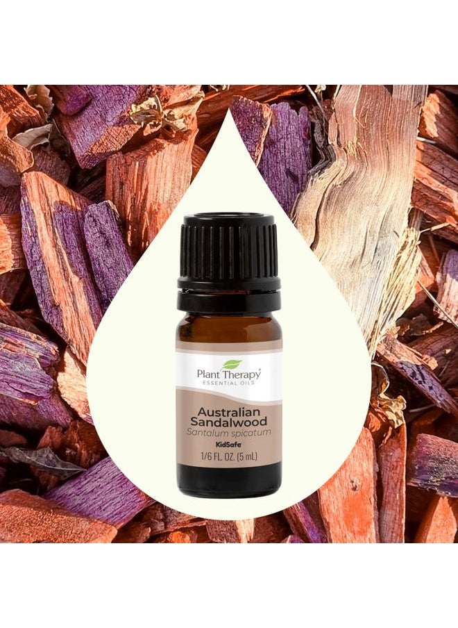 Plant Therapy Australian Sandalwood Essential Oil 100% Pure, Undiluted, Natural Aromatherapy for Diffusion and Body Care, Therapeutic Grade 5 mL (1/6 oz)  - Image 3