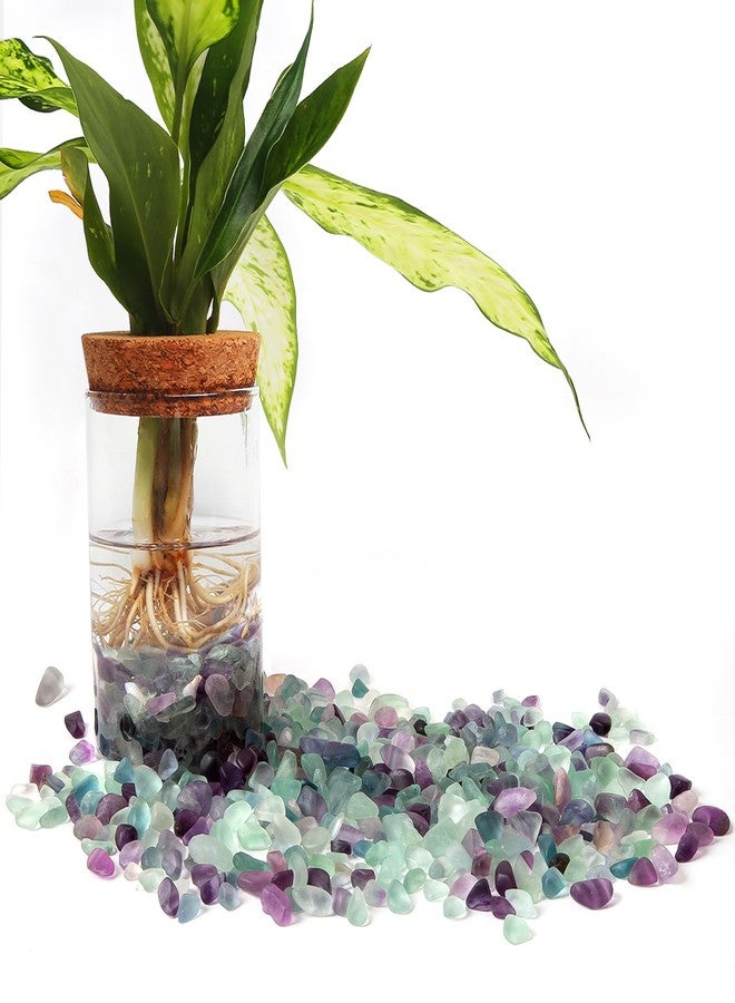QICQDRAM Polished Fluorite Gravel Rocks Bulk 0.9 Lb/405g Natural Tumbled Crystal Chips Decorative Pebbles for Home Decoration & Fish Turtle Tank, Vase Filler, Plants Decor - Image 4