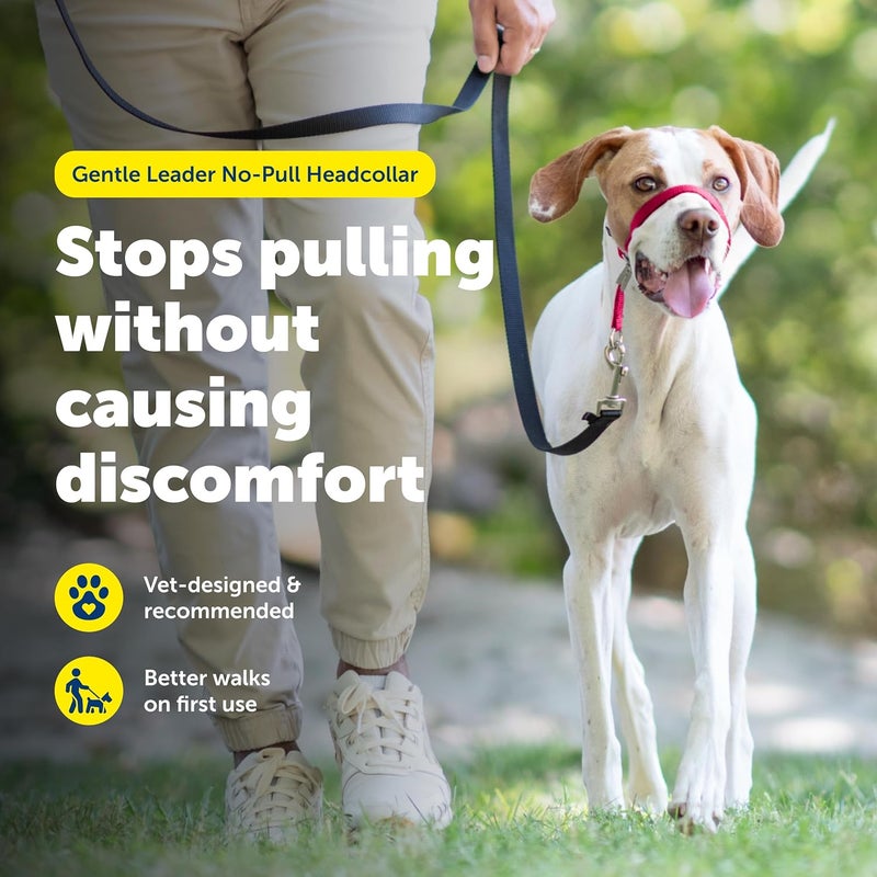 PetSafe Gentle Leader No-Pull Dog Headcollar - Medium Size, Red - Ultimate Solution for Pulling and Better Leash Manners - Image 2