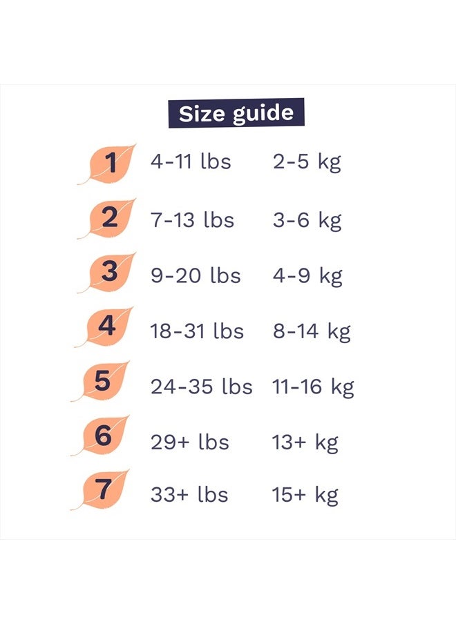 Pura Size 2 Eco-Friendly Diapers (7-13 lbs) TCF, Hypoallergenic, Soft Organic Cotton Comfort, Sustainable, Wetness Indictor. Allergy UK, Paper Packaging. 1 Pack of 29  - Image 4