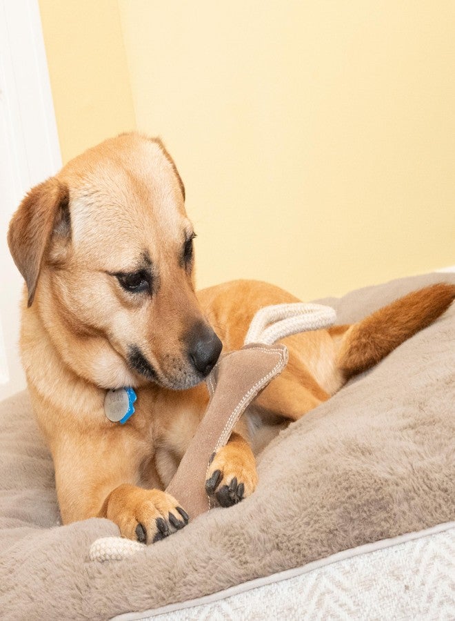 SPOT Dura-Fused Leather Bone Tug Dog Toy - Durable Real Leather & Jute Chew Toy with Double Rope Handles & Squeaker, For Moderate Chewers, 18in - Image 4