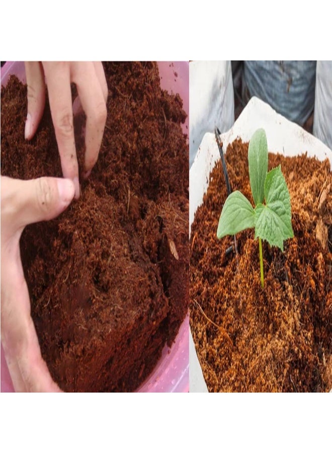 Inder 2Pcs of Coco Peat Lightweight Compost Fertilizer - Image 3