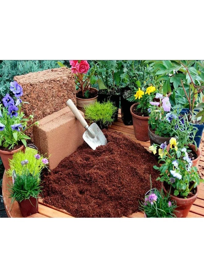 Inder 2Pcs of Coco Peat Lightweight Compost Fertilizer - Image 5