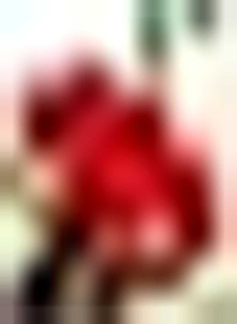 GGOOT 2Stückrote Amaryllis Zwiebeln duftende Staude natürliche Blume ziemlich exotisch für den Garten bereit ohne zu viel Energie zu investieren - Image 1