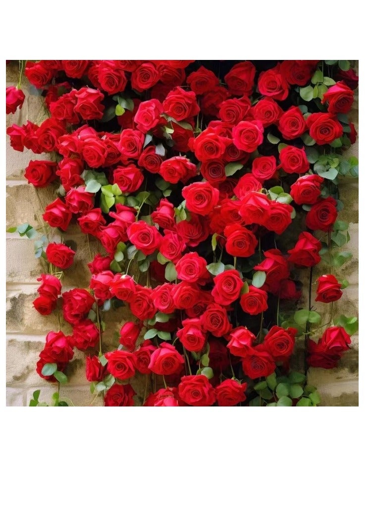 500Pcs Climbing Rose Seeds Red - Image 1
