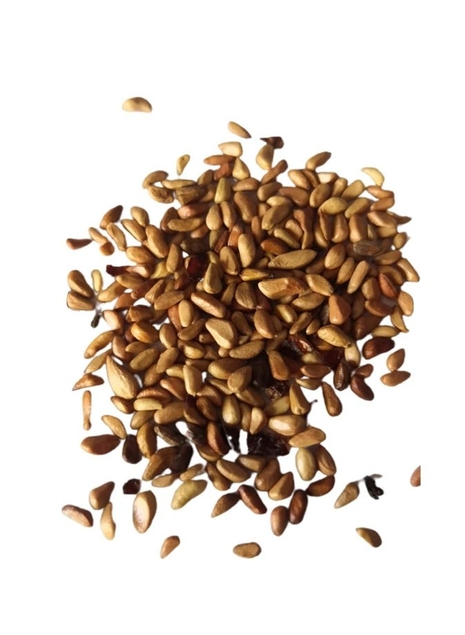 500Pcs Climbing Rose Seeds Red - Image 2