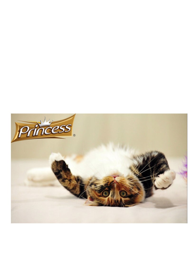 Princess Premium Classic Pouches Chicken and Tuna with Rice & Baby Clam 70g  - Image 2