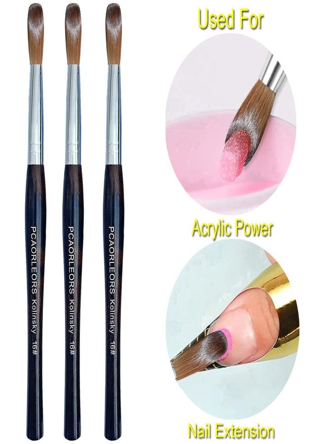 PCUORLEORS Kolinsky Acrylic Nail Brush,Ebony wood handle and 100% Pure mink Sable Hair brush, Gel brush for Acrylic power and Nail Extension #8,10,12,14,16 (#14) - Image 3