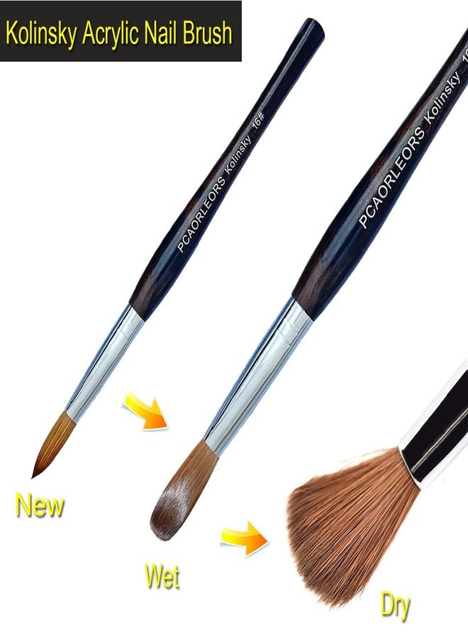 PCUORLEORS Kolinsky Acrylic Nail Brush,Ebony wood handle and 100% Pure mink Sable Hair brush, Gel brush for Acrylic power and Nail Extension #8,10,12,14,16 (#14) - Image 4
