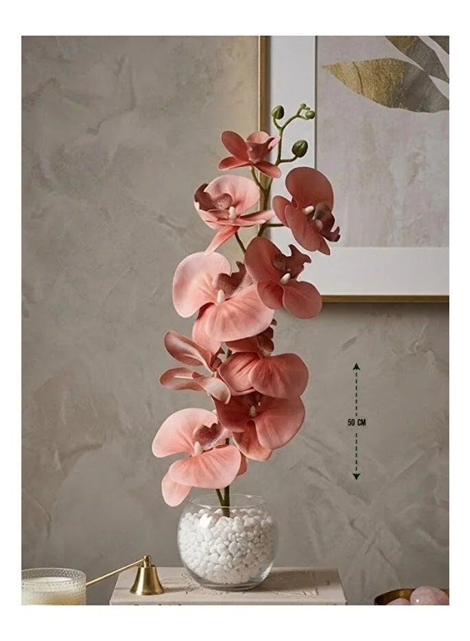 co arma Artificial orchid flower in a glass vase with pebbles, 50 cm tall - Image 1