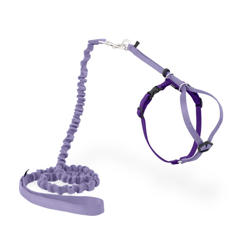 PetSafe Come with Me Kitty Cat Harness & Bungee Leash - Comfortable No-Choke Harness with Lightweight Bungee Leash for Outdoor Fun - Escape Free Pulling Prevention - Medium - Lilac - Image 1