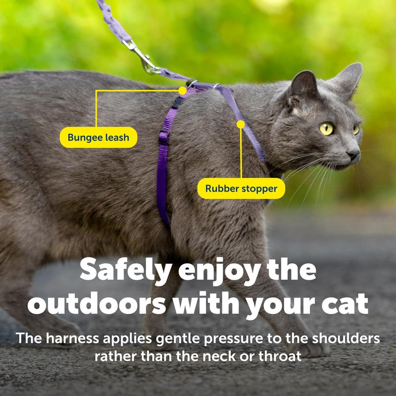 PetSafe Come with Me Kitty Cat Harness & Bungee Leash - Comfortable No-Choke Harness with Lightweight Bungee Leash for Outdoor Fun - Escape Free Pulling Prevention - Medium - Lilac - Image 5