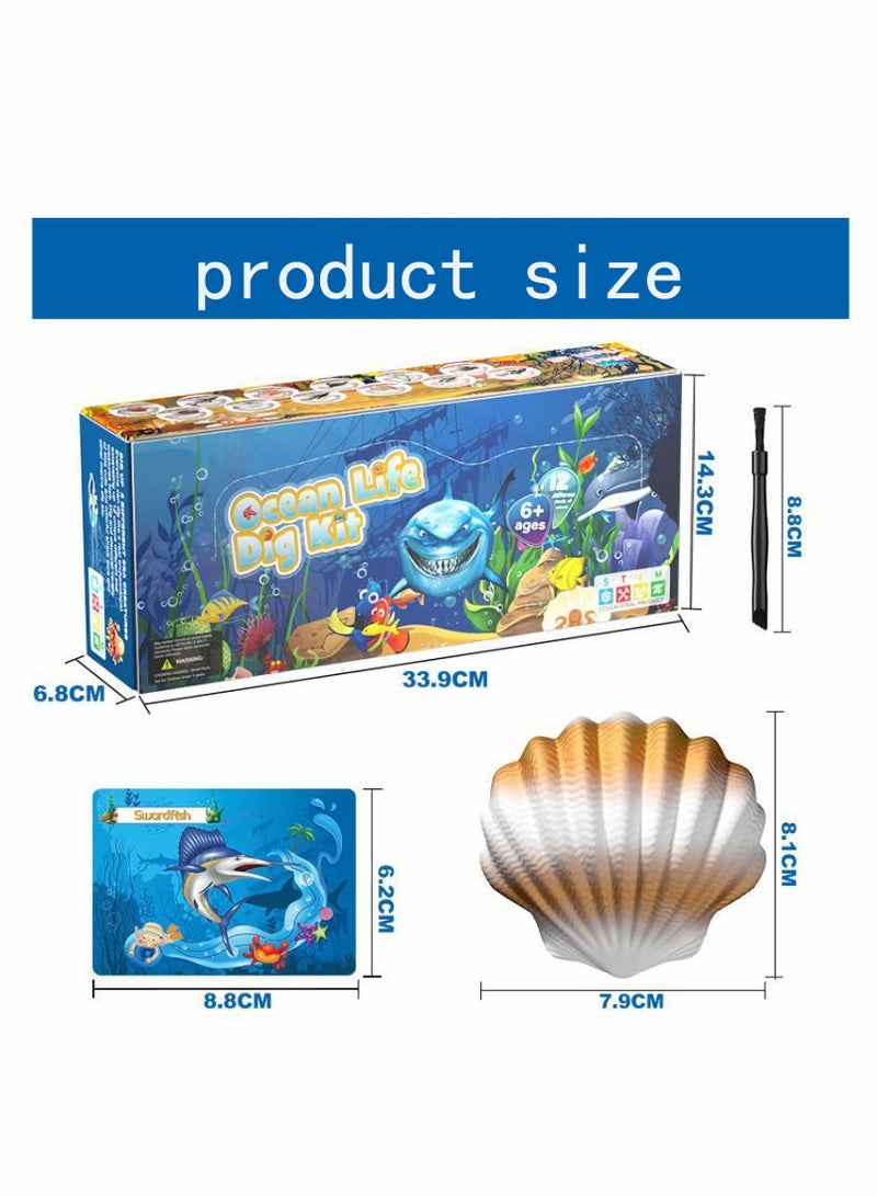 KASTWAVE Archaeological excavation toys 12 Different Fossil/Eggs with 12 Excavation Kits， Excavation Educational Science Gifts for Kids Party Archaeology Paleontology Toy (Ocean fossils) - Image 3