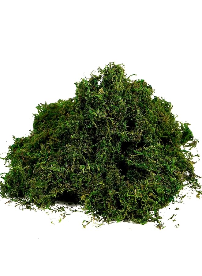 erorex Khazna Artificial Moss Fake Green Grass For Centerpieces Home Kitchen Garden Decor 3.5Oz Fresh - Image 1