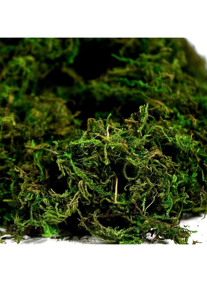erorex Khazna Artificial Moss Fake Green Grass For Centerpieces Home Kitchen Garden Decor 3.5Oz Fresh - Image 5