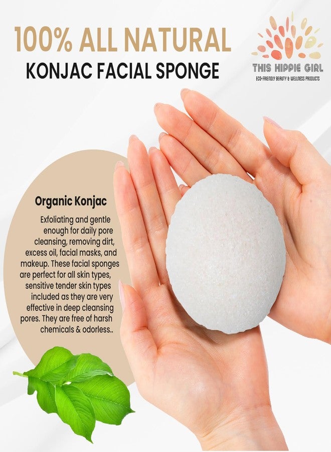Boho Aromatic This Hippie Girl | Konjac Exfoliating Organic Facial Sponge | Plant Based Gentle Exfoliating Face Scrubbie | Safe for Sensitive Skin | Simply White (White) - Image 2