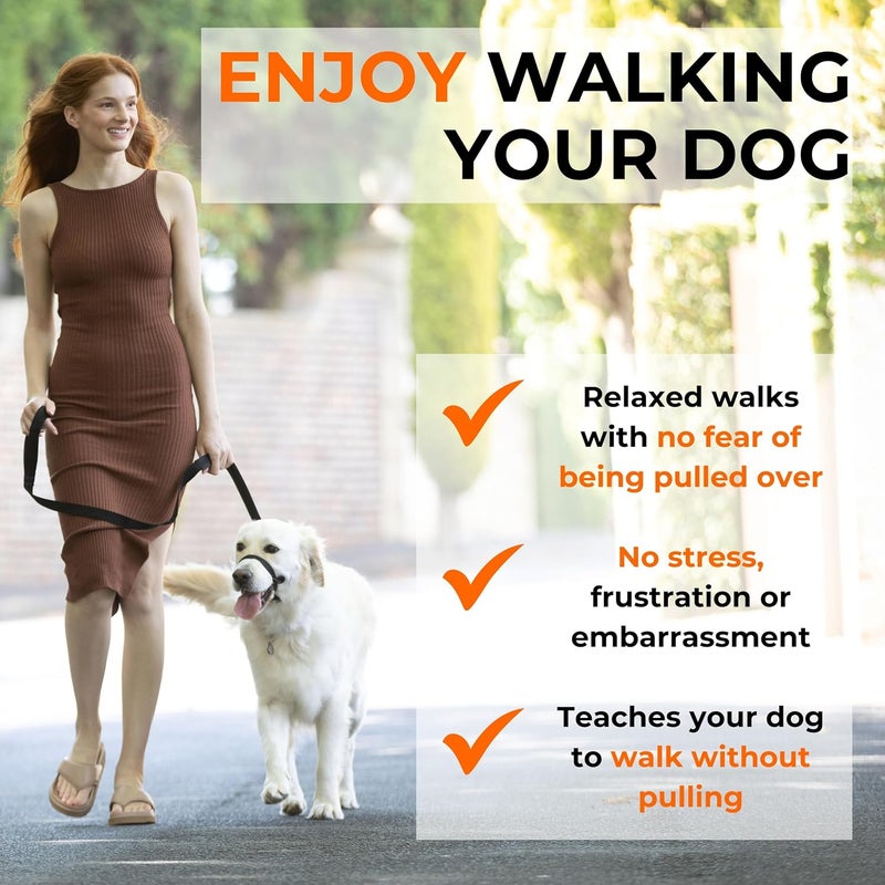Canny Colossus No-Pull Dog Head Collar | Gentle & Humane Leash Training Aid for Large & Giant Breed Dogs | Stops Pulling – Comfortable Control for Walking & Obedience - Image 3