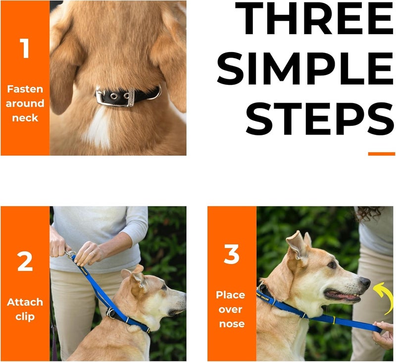 Canny Colossus No-Pull Dog Head Collar | Gentle & Humane Leash Training Aid for Large & Giant Breed Dogs | Stops Pulling – Comfortable Control for Walking & Obedience - Image 2
