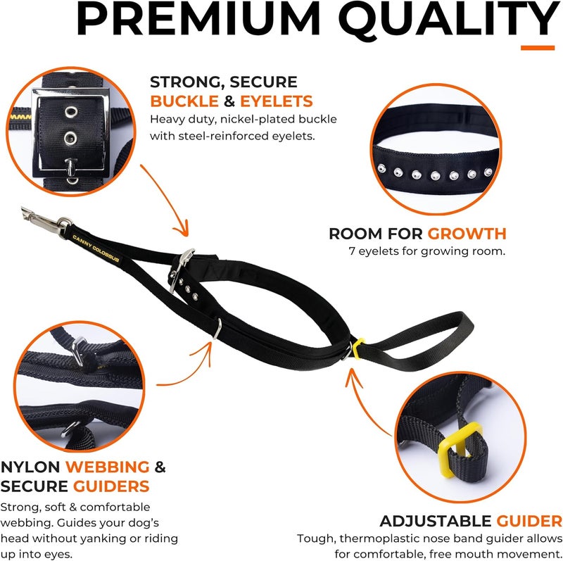 Canny Colossus No-Pull Dog Head Collar | Gentle & Humane Leash Training Aid for Large & Giant Breed Dogs | Stops Pulling – Comfortable Control for Walking & Obedience - Image 4