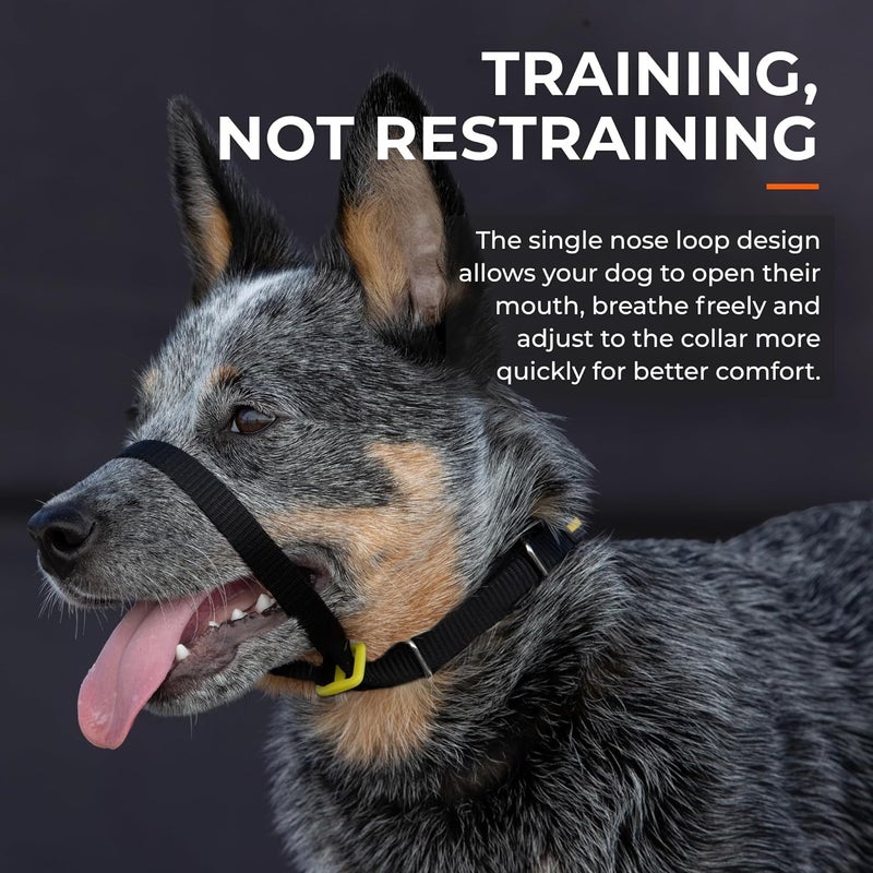 Canny Colossus No-Pull Dog Head Collar | Gentle & Humane Leash Training Aid for Large & Giant Breed Dogs | Stops Pulling – Comfortable Control for Walking & Obedience - Image 5