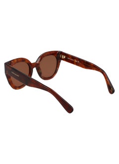 Longchamp Women's UV Protection Round Shape Acetate Sunglasses LO750S-237-4923 - Lens Size: 49 - Textured Brown  - Image 5