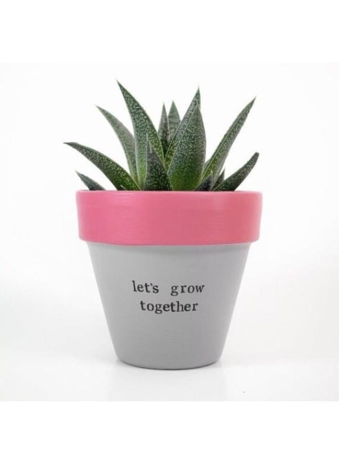 Funny Pot Cactus pottery pot 