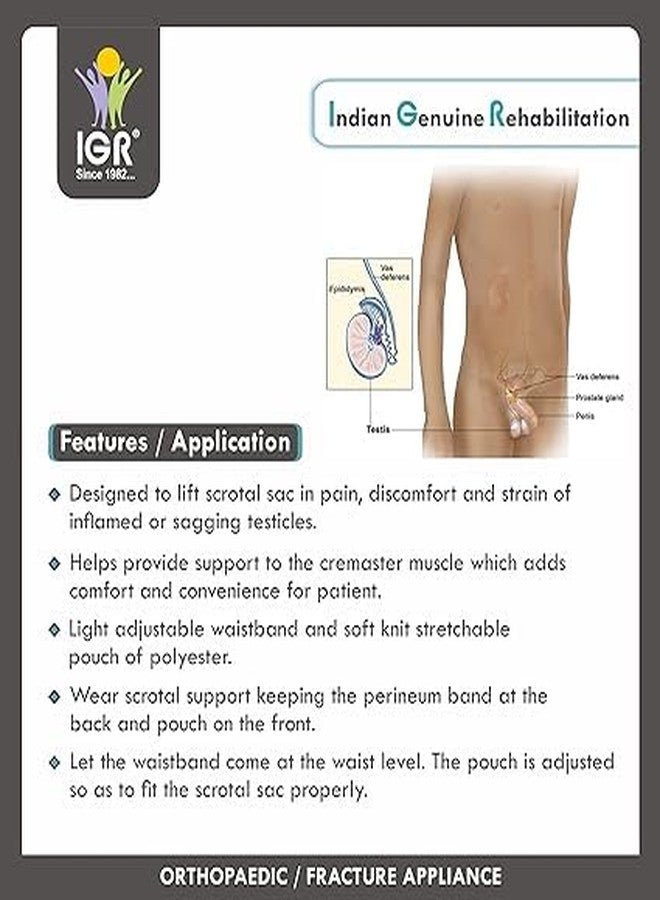 IGR سروال داخلي رياضي من القطن IGR، داعم للخصيتين، قابل للتمدد، مزود بجيب خلفي، سريع الجفاف، ماص للرطوبة، أسود، قطعة واحدة (صغير) - Image 4