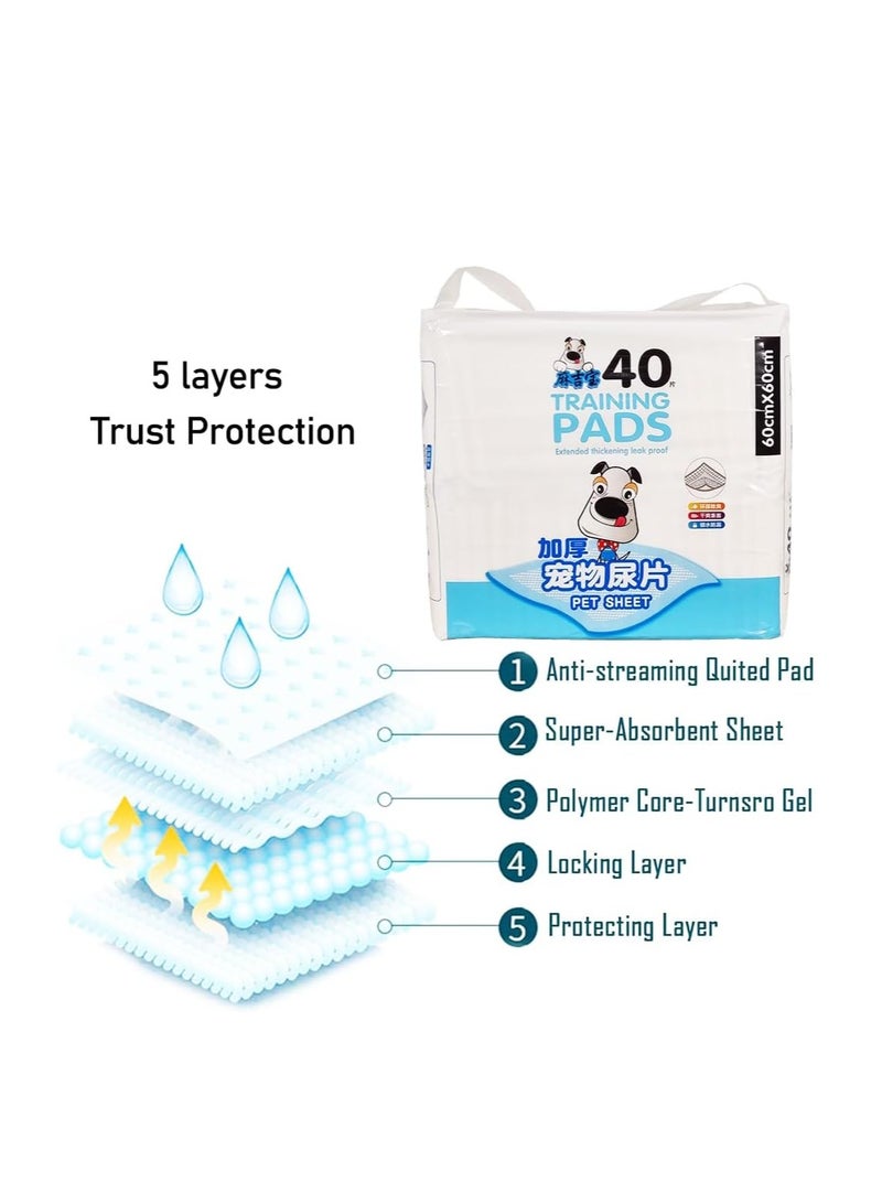 أن ان سي بيتس وسادات تدريب الحيوانات الأليفة على استخدام المرحاض، وسادات بول مانعة للتسرب من 5 طبقات للسلالات الكبيرة، مقاومة للتمزق والتحكم في الرائحة، 40 قطعة من وسادات البول عالية الامتصاص للاستخدام الداخلي، وسادة مريحة، 60 سم (أزرق) - Image 3